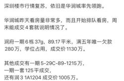 深圳楼市热潮再起宝安千万豪宅开盘即售罄，开发商通宵达旦迎战购房狂潮