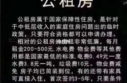 廊坊市2023年公共租赁住房实物配租选房公告详解机遇与挑战并存