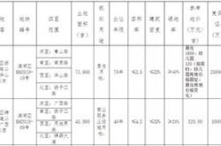 职场新人必读如何在土地拍卖市场中脱颖而出