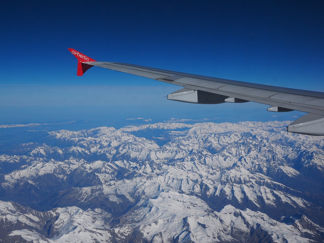 羊的惊险之旅，从山坡到60米高空